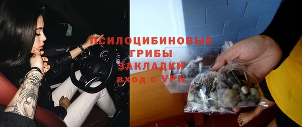ГАЛЛЮЦИНОГЕННЫЕ ГРИБЫ Медвежьегорск