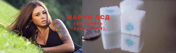 ГАЛЛЮЦИНОГЕННЫЕ ГРИБЫ Медвежьегорск