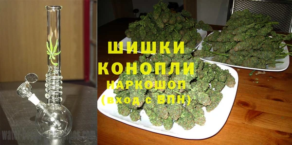 ГАЛЛЮЦИНОГЕННЫЕ ГРИБЫ Медвежьегорск