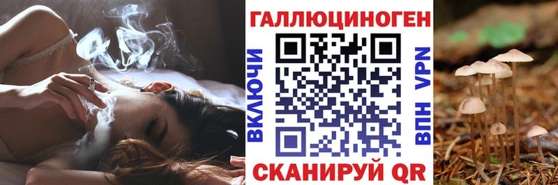 Псилоцибиновые грибы мицелий  купить   ссылка на мегу онион  Нюрба 